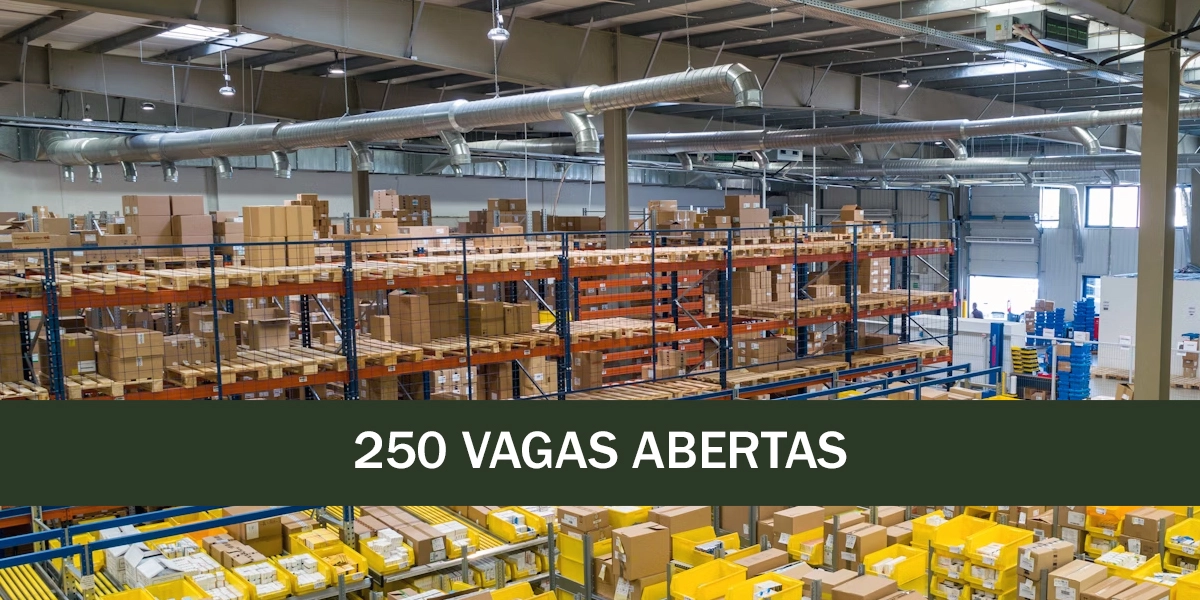logística